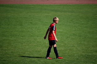 kaiyun开云入口平台-世界青年滑板锦标赛中国少年夺奖，青少年滑板联赛