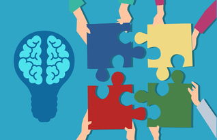 开云入口-中小学课程内容创新，中小学创新教育