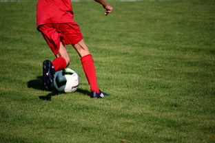 开云电竞入口-意甲青训体系中融入情绪调节训练的效果评估，意甲青训体系中融入情绪调节训练的效果评估